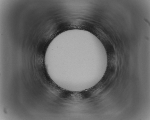 X0000098040603200804251041