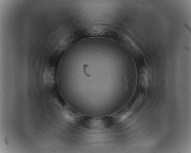 X0000098040604200804251041