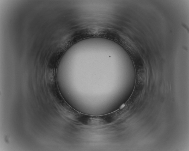 X0000098040605200804251041