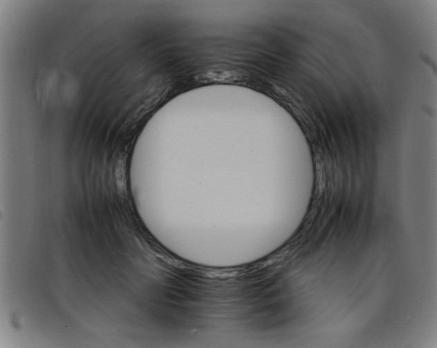 X0000098040606200804251041