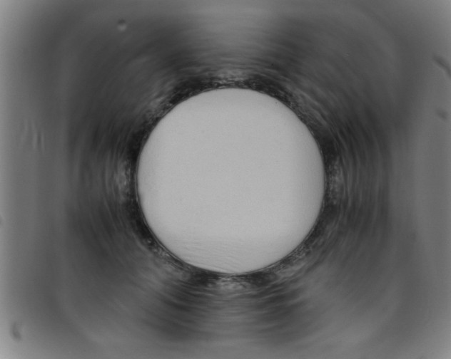 X0000098040608200804251041