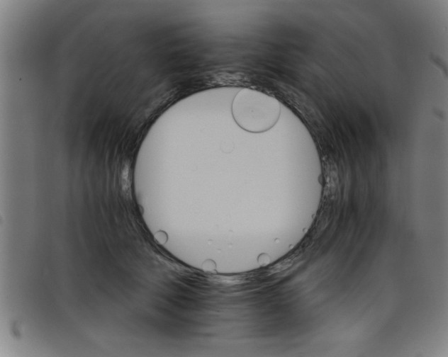 X0000098040610200804251041