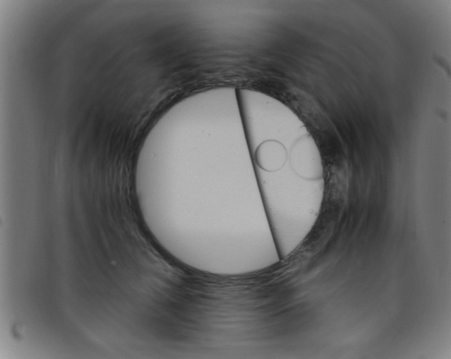 X0000098040612200804251041