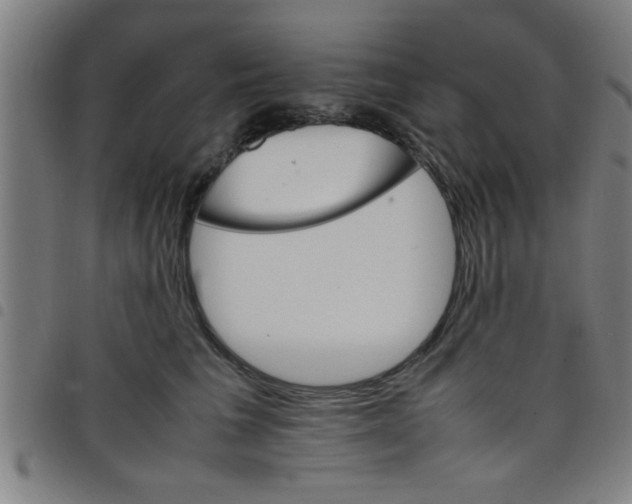 X0000098040613200804251041