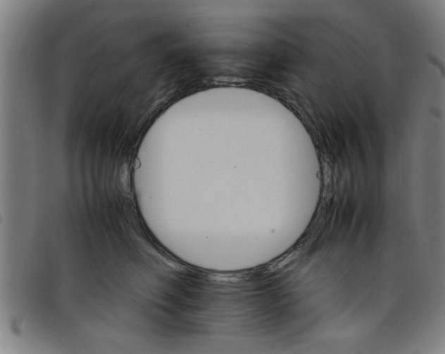 X0000098040614200804251041