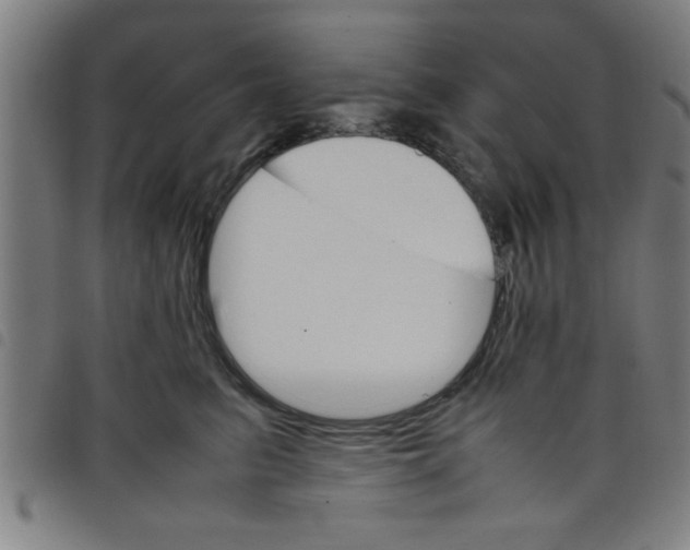 X0000098040615200804251041