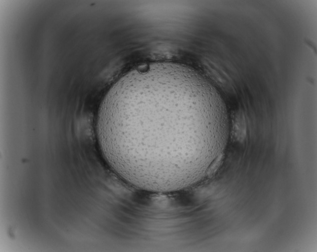 X0000098040616200804251041