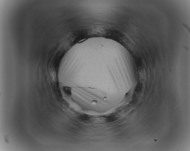 X0000098040617200804251041