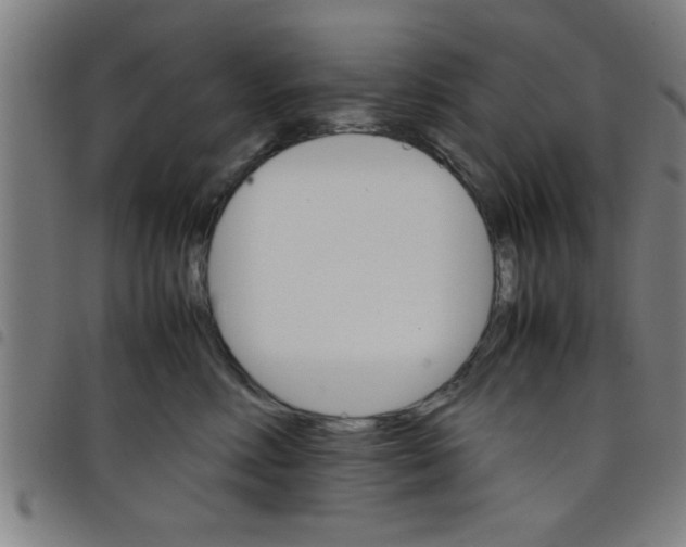 X0000098040618200804251041