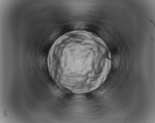 X0000098040619200804251041