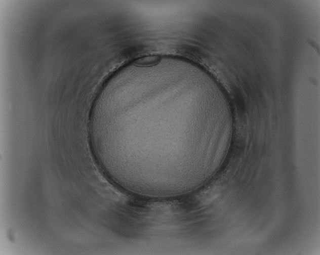 X0000098040625200804251040