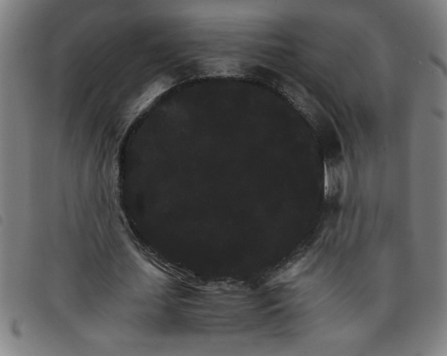 X0000098040627200804251040