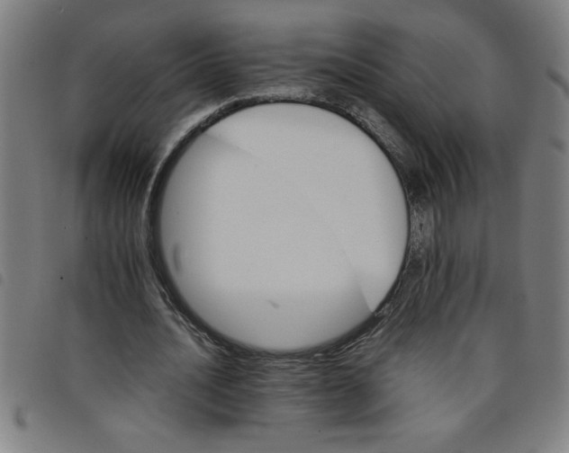 X0000098040628200804251040