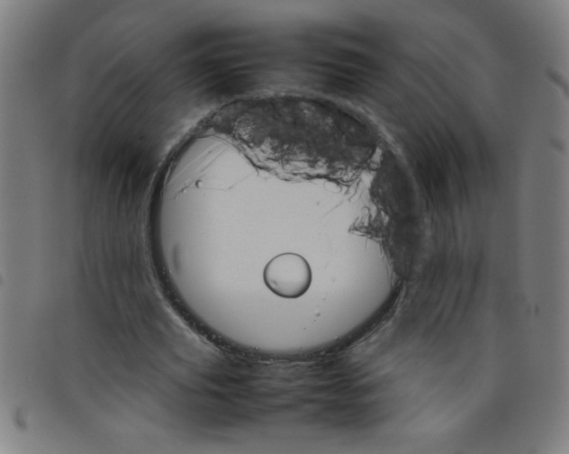 X0000098040629200804251040