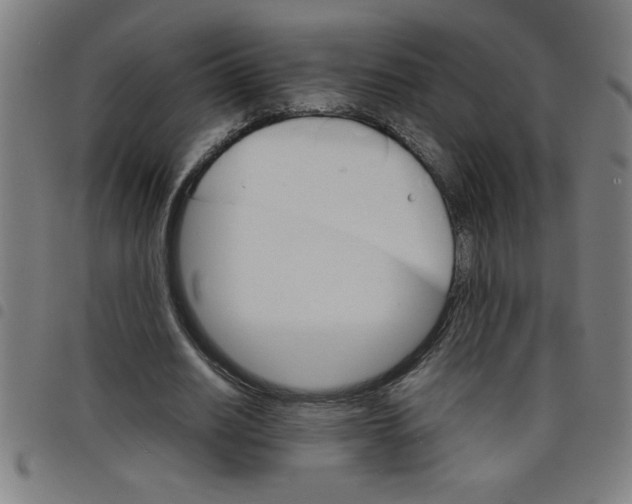 X0000098040630200804251040