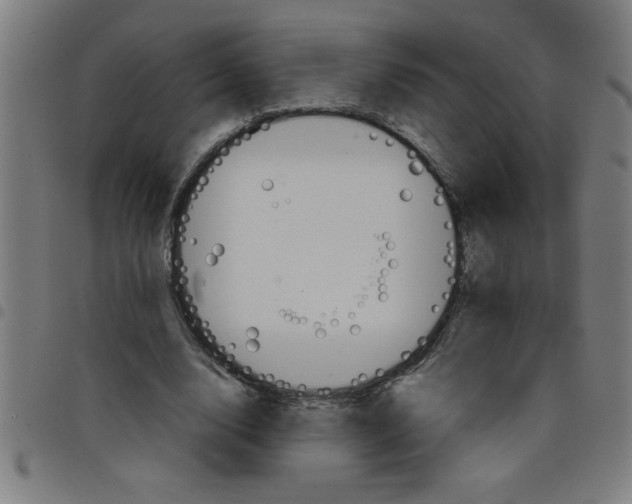 X0000098040632200804251040