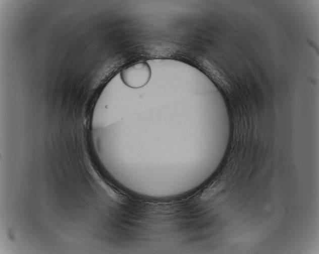 X0000098040634200804251040