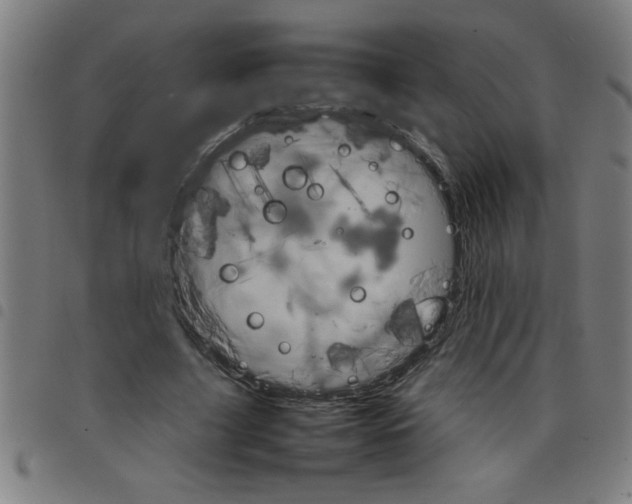 X0000098040635200804251040