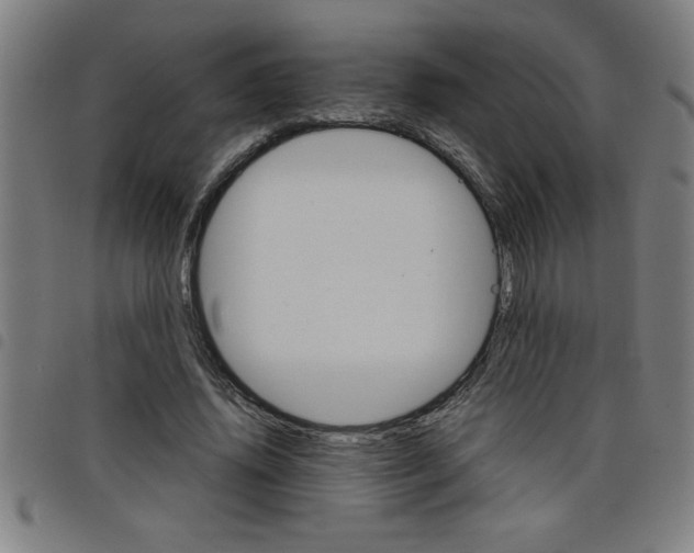 X0000098040636200804251040