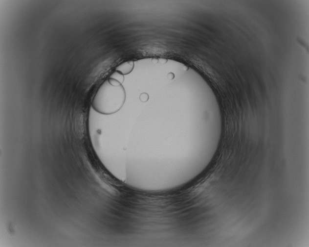 X0000098040638200804251040