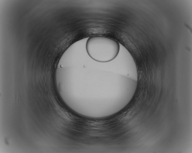 X0000098040639200804251040