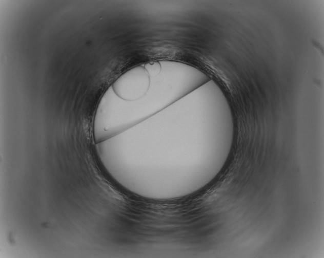 X0000098040641200804251040