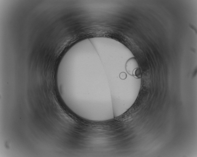 X0000098040642200804251040