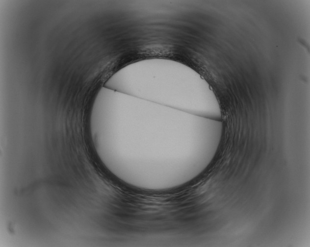 X0000098040643200804251040