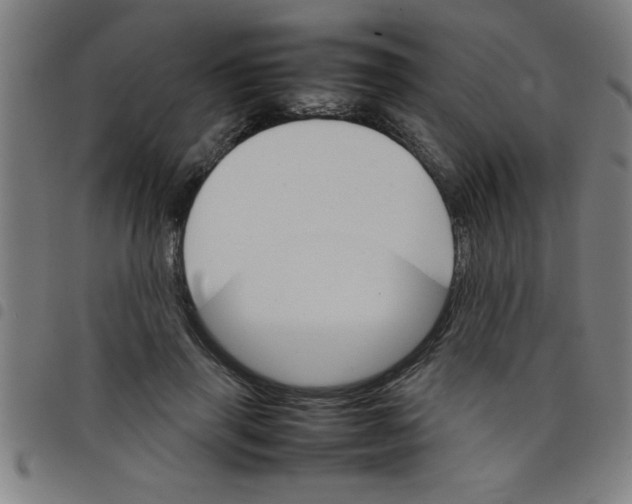 X0000098040645200804251040