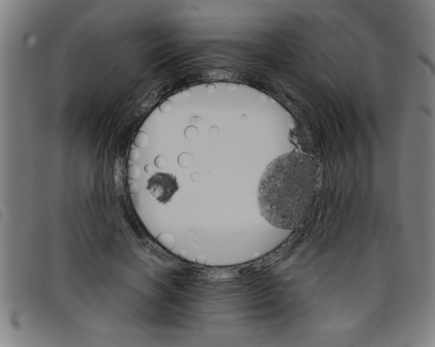 X0000098040646200804251040