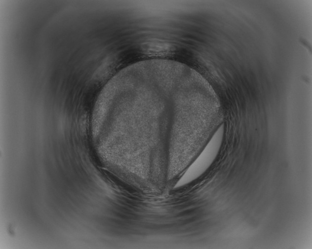 X0000098040647200804251040