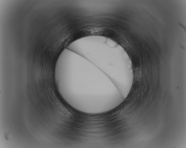 X0000098040650200804251040