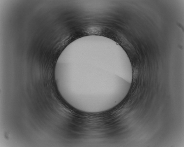 X0000098040652200804251040