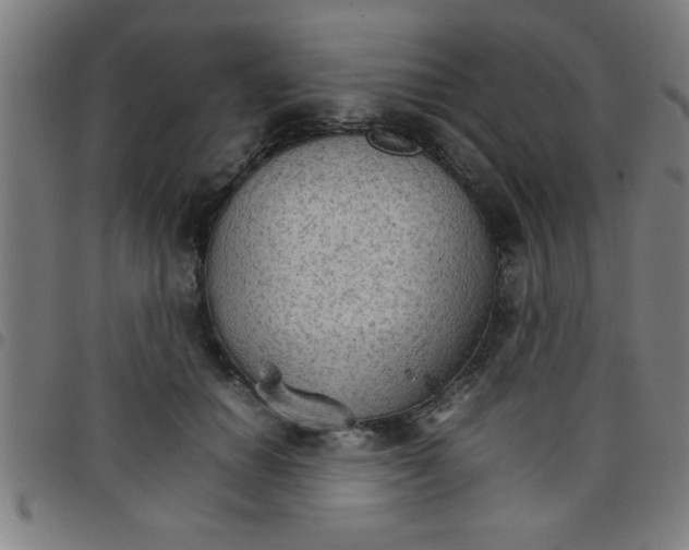 X0000098040654200804251040