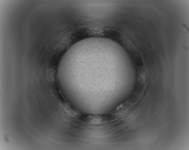 X0000098040658200804251041