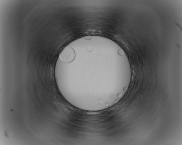 X0000098040659200804251041