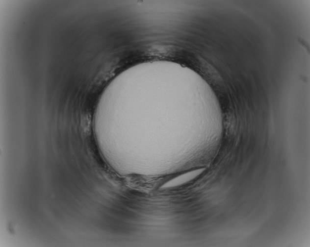 X0000098040660200804251041