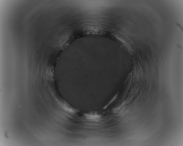 X0000098040661200804251041