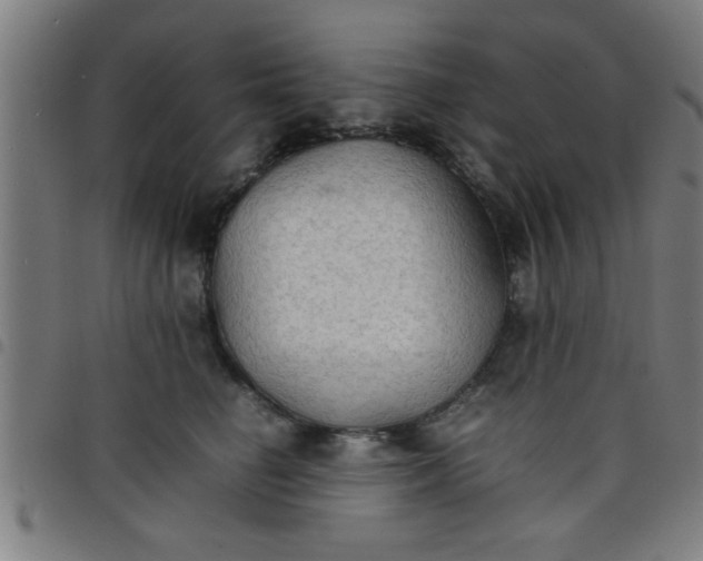 X0000098040662200804251041