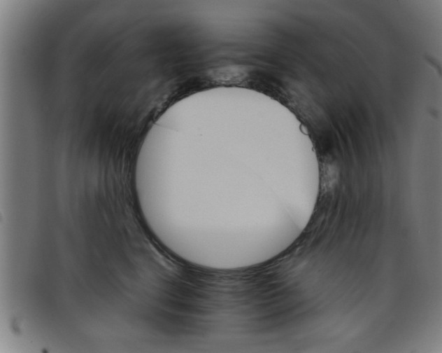 X0000098040664200804251041