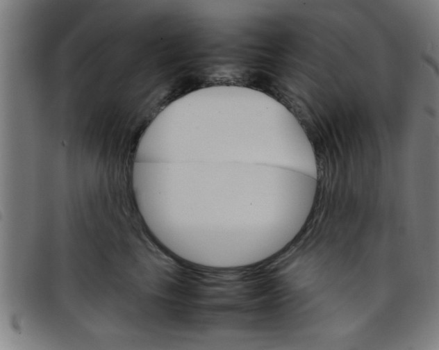 X0000098040665200804251041