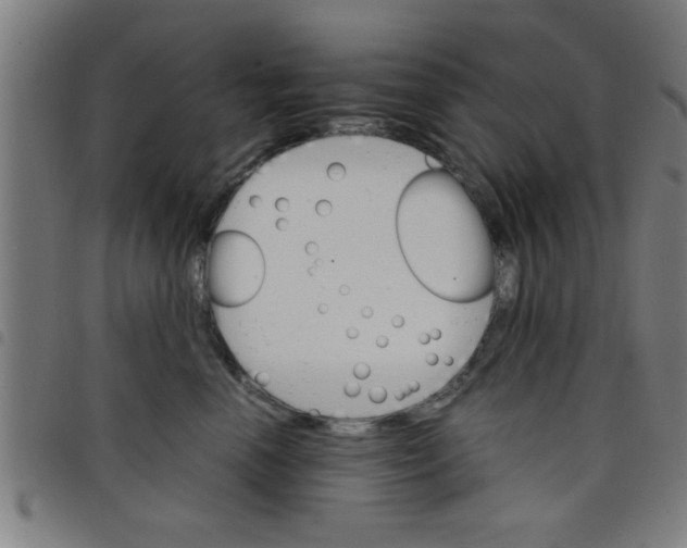 X0000098040666200804251041