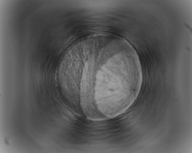 X0000098040667200804251041