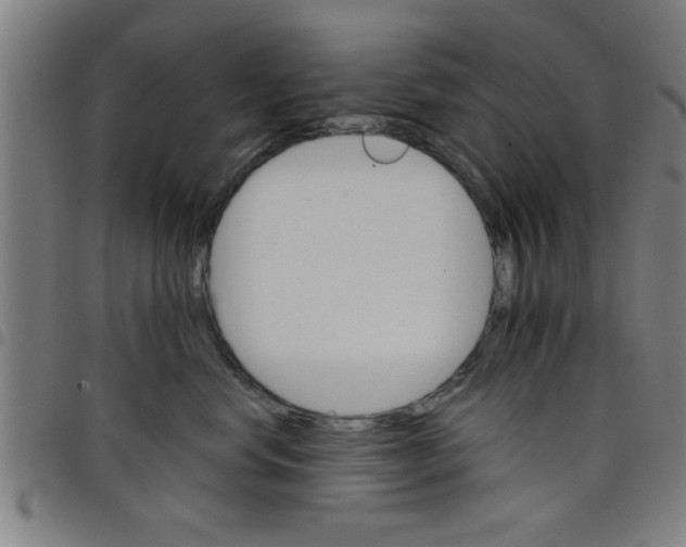 X0000098040668200804251041