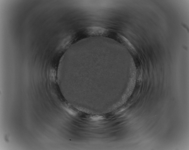 X0000098040669200804251041