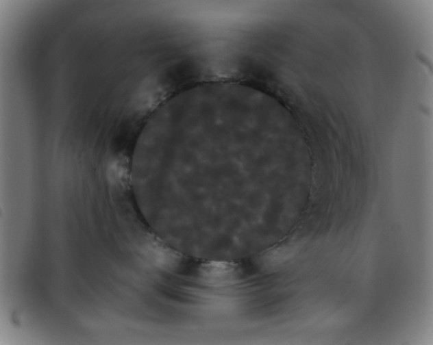 X0000098040672200804251041