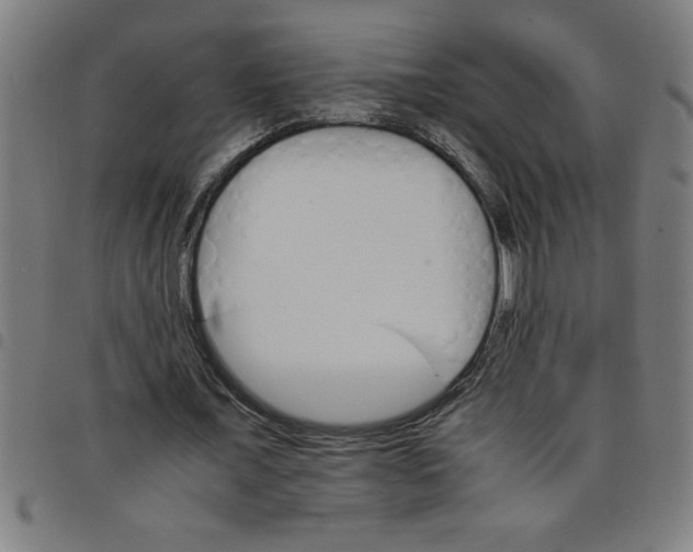 X0000098040675200804251040