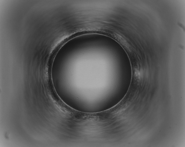 X0000098040676200804251040