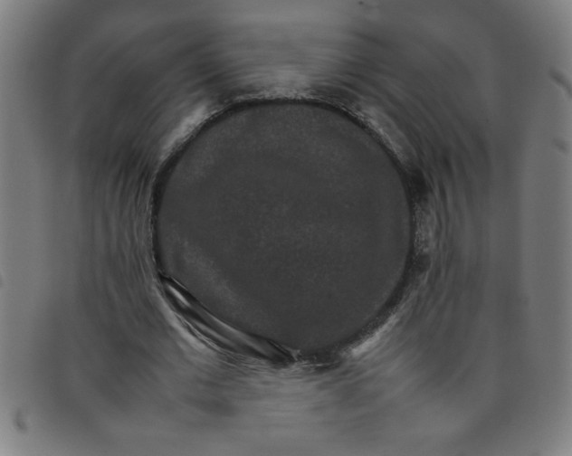 X0000098040677200804251040