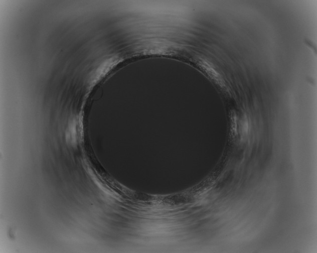 X0000098040678200804251040